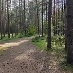 度假居 Retrohonguline Suvila Saunaga Laulasmaal, Privaatne Puhkus Mere Laehedal *