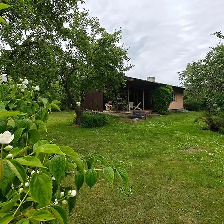 Retrohonguline Suvila Saunaga Laulasmaal, Privaatne Puhkus Mere Laehedal Holiday home