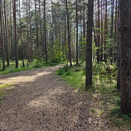 Holiday home Retrohonguline Suvila Saunaga Laulasmaal, Privaatne Puhkus Mere Laehedal *