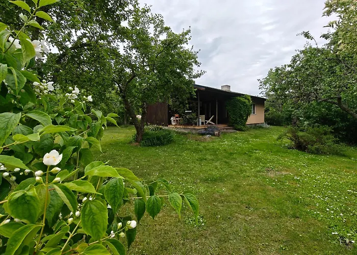 Retrohonguline Suvila Saunaga Laulasmaal, Privaatne Puhkus Mere Laehedal Holiday home