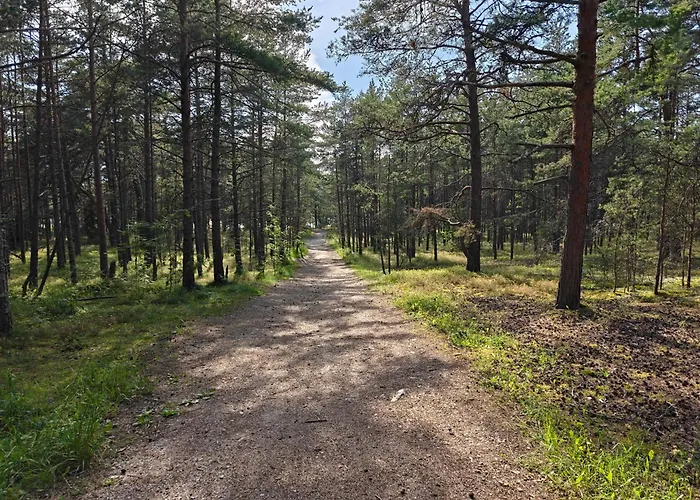 Retrohõnguline Suvila Saunaga Laulasmaal, Privaatne Puhkus Mere Lähedal