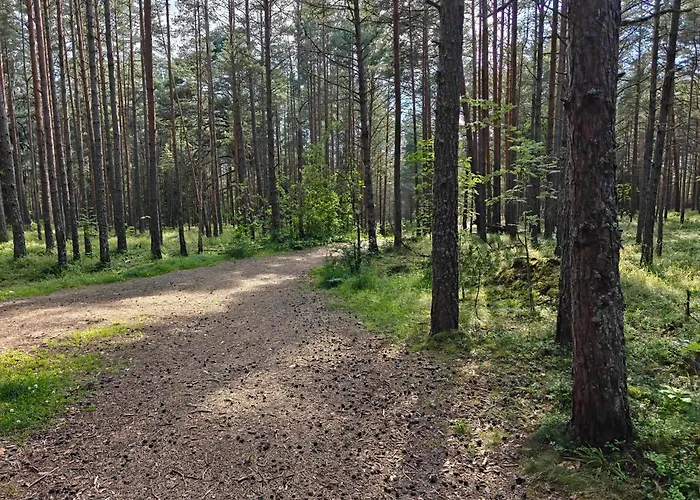 Semesterbostad Retrohonguline Suvila Saunaga Laulasmaal, Privaatne Puhkus Mere Laehedal *